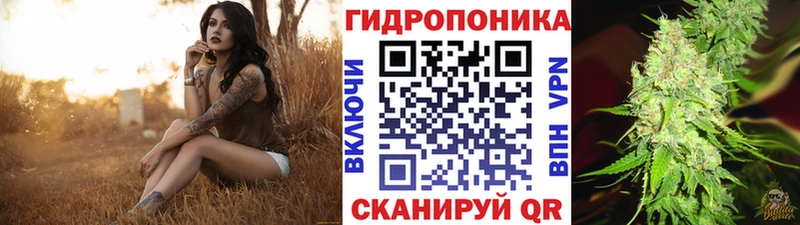 Каннабис ГИДРОПОН Шали