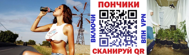 Бошки Шишки гибрид Шали